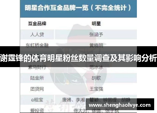 谢霆锋的体育明星粉丝数量调查及其影响分析